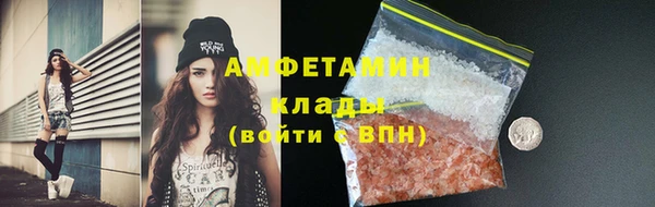 мдпв Елабуга
