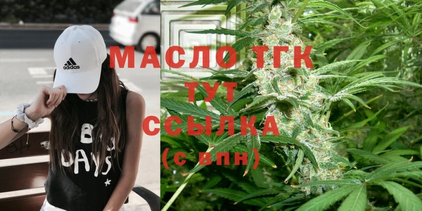 мдпв Елабуга