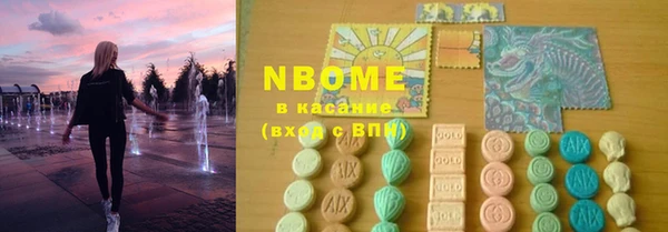 мдпв Елабуга