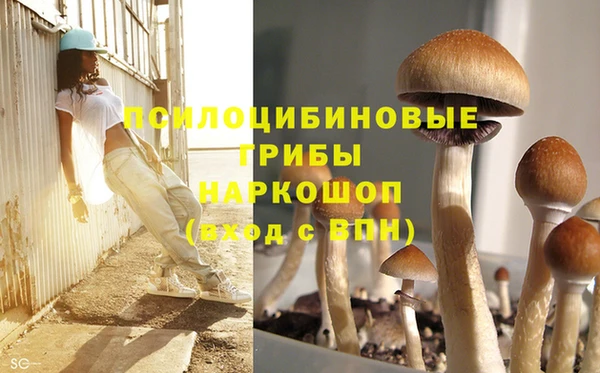 мдпв Елабуга