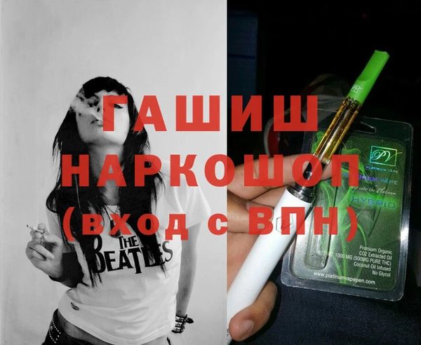 мдпв Елабуга