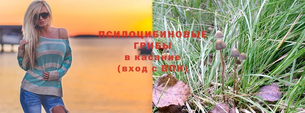 амфетамин Ельня