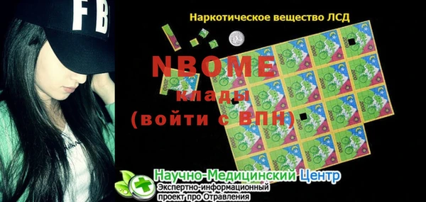мдпв Елабуга