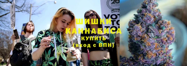 мдпв Елабуга