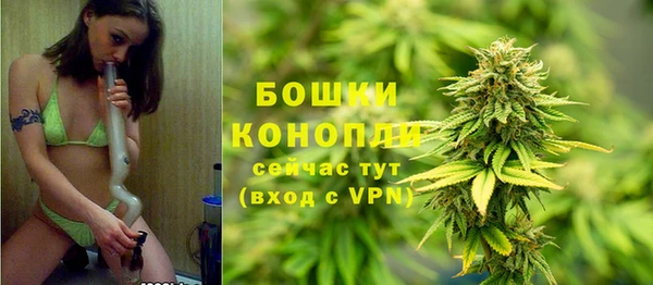мдпв Елабуга