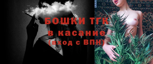 мдпв Елабуга