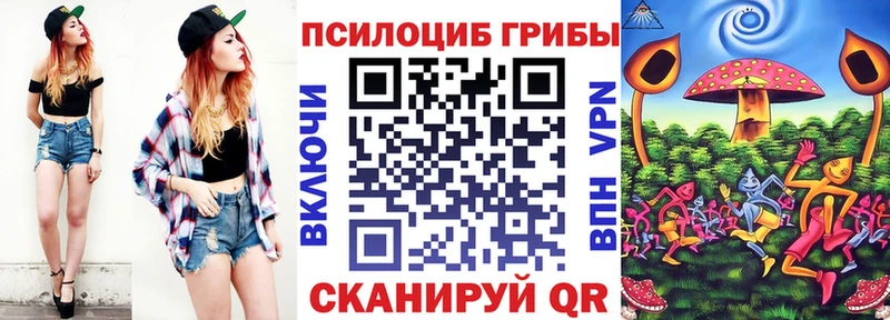 Псилоцибиновые грибы мухоморы  Карачаевск 